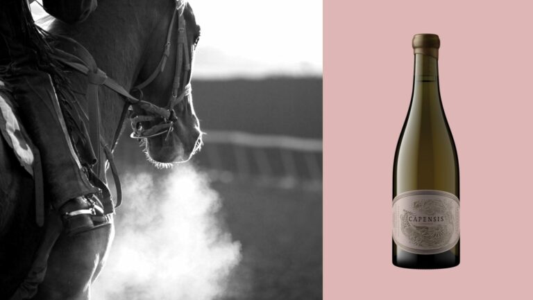 I think, therefore I drink – Chapter 17