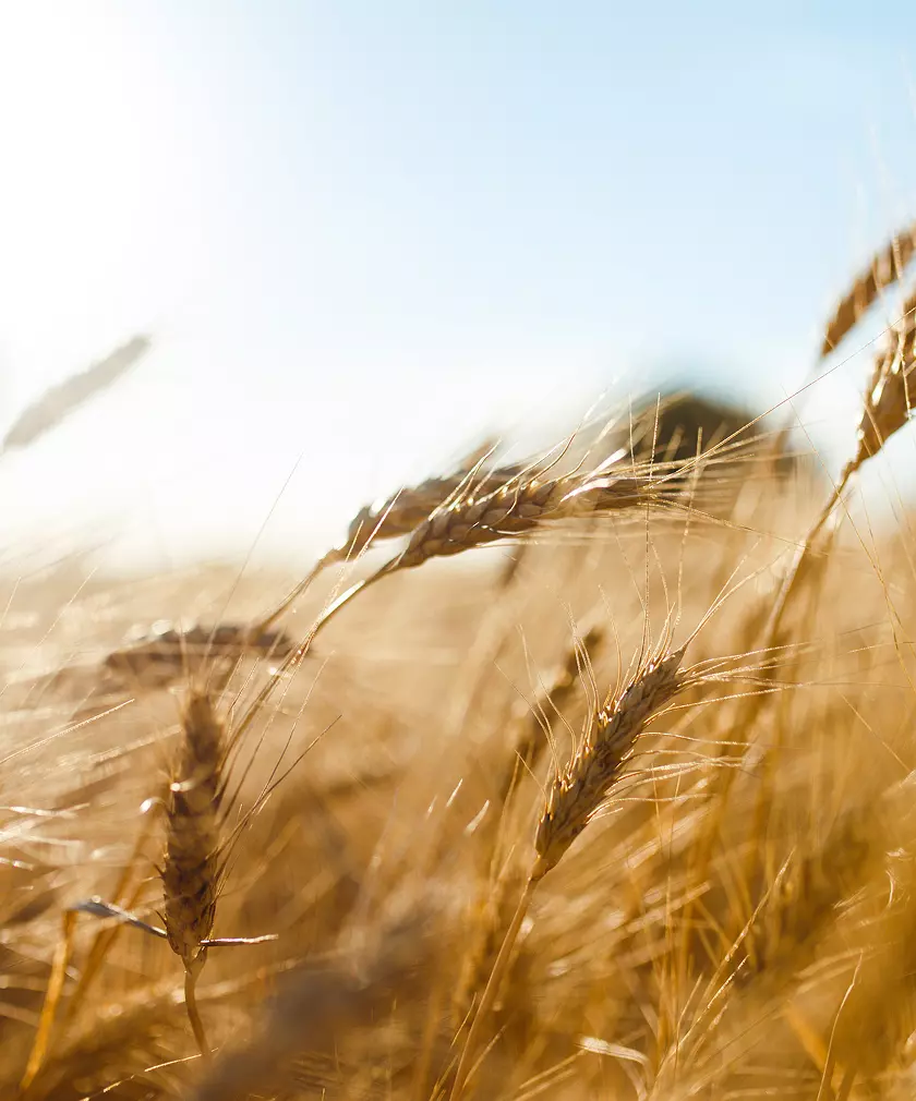 Agri
